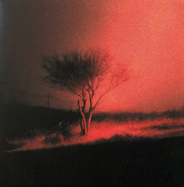 Joji - Piss In The Wind (1LP) Vinyl