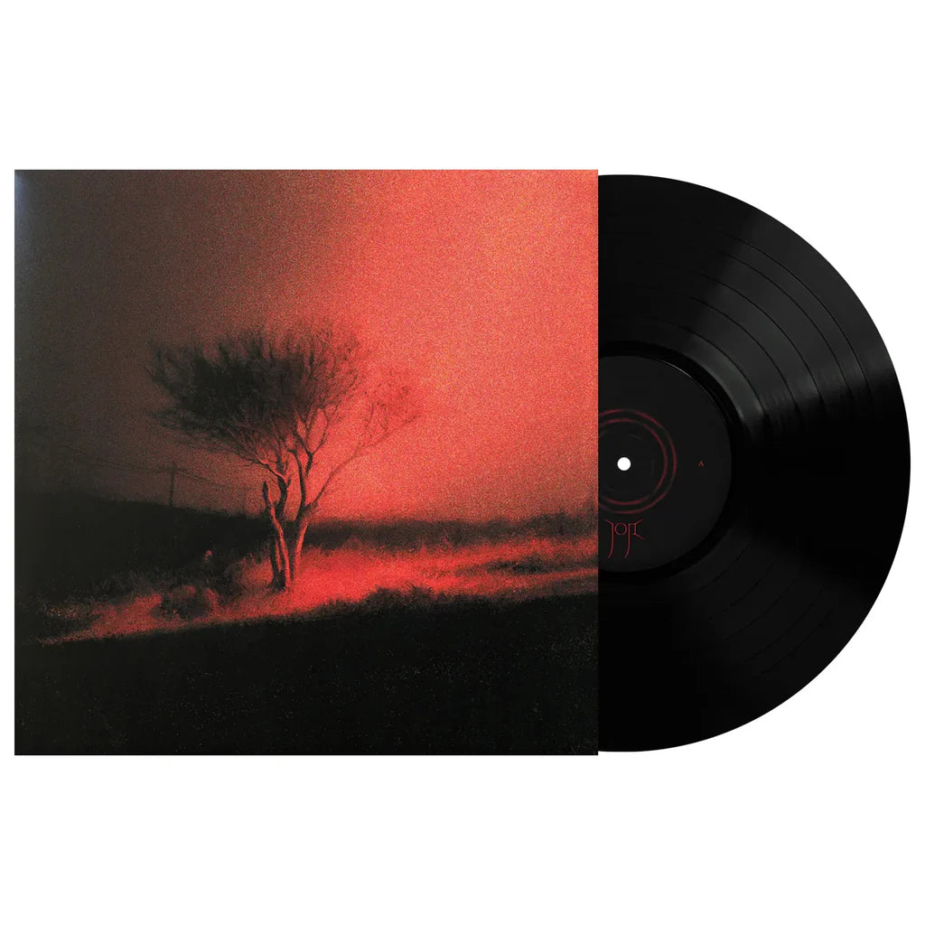 Joji - Piss In The Wind (1LP) Vinyl